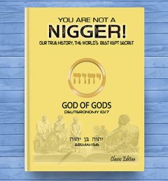 You Are Not A Nigger:  Our True History, The World's Best Kept Secret [Classic Edition]