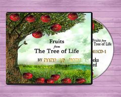 Fruits From The Tree of Life