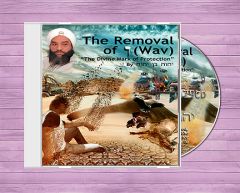 The Removal of Wav