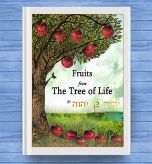 Fruits From The Tree Of Life